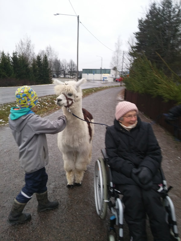 Vierailimme Monninkylän joulutorilla.
